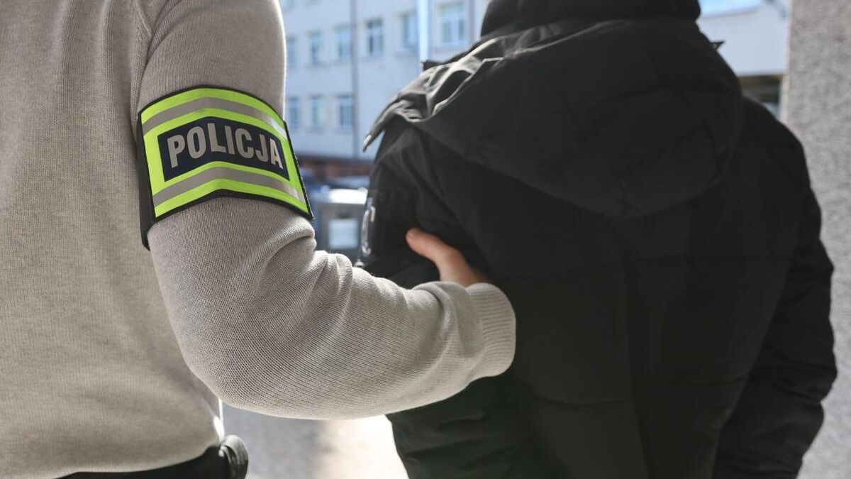 policja