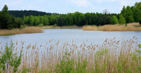 Koszmar w zalewie w Natalinie. Znaleziono zwłoki kobiety
