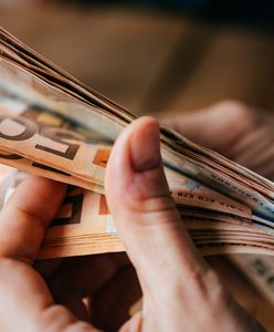 Strefa euro się powiększy. Kolejny kraj przyjmie walutę w 2026 roku