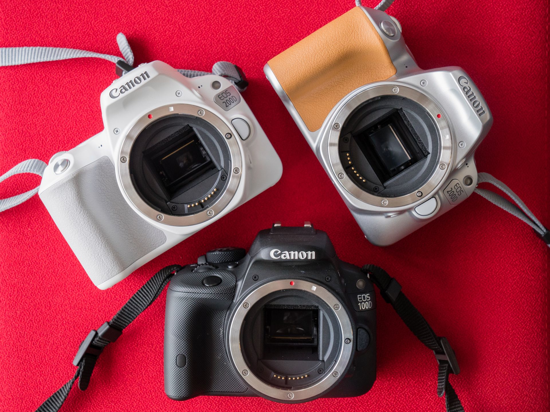 Canon EOS 200D - najlżejsza lustrzanka z odchylanym ekranem w naszych rękach 11