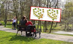 Pogoda po majówce. Nadchodzi ochłodzenie