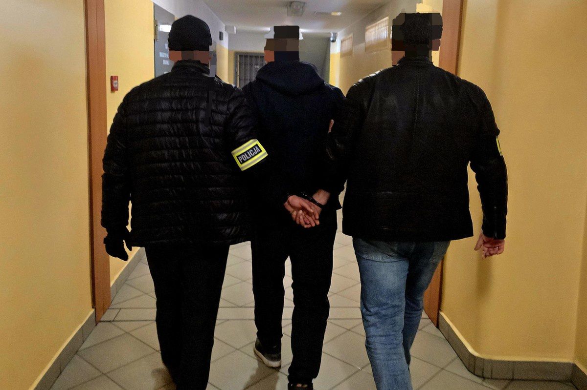 Katowice: 17 zarzutów dla podejrzanego o kradzieże