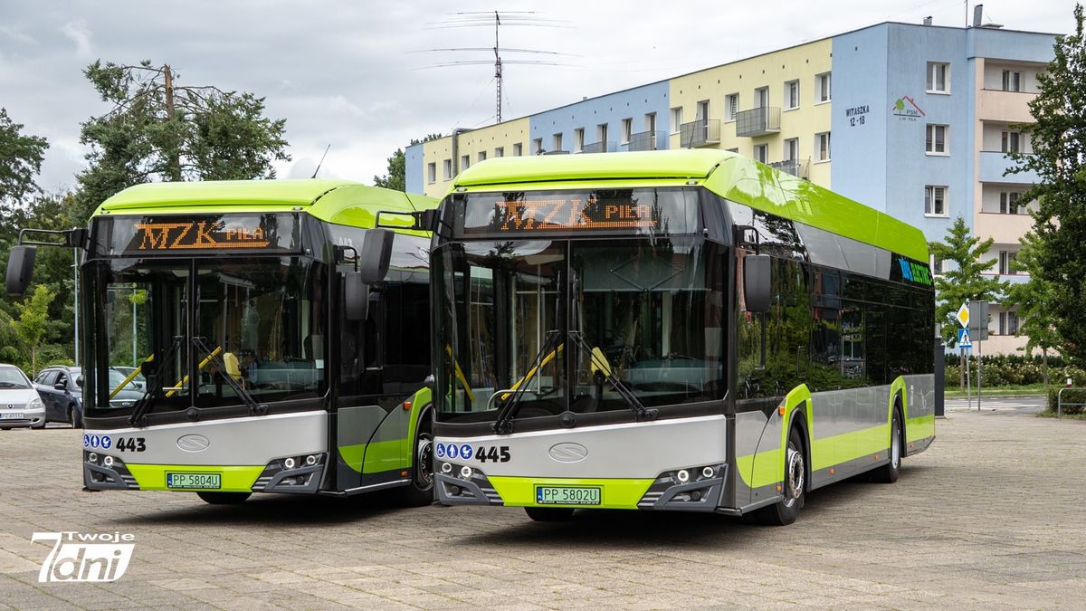 mzk, autobus