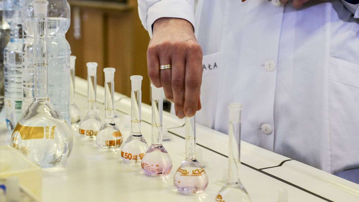 fot. Michał Dubiel/Reporter/East News