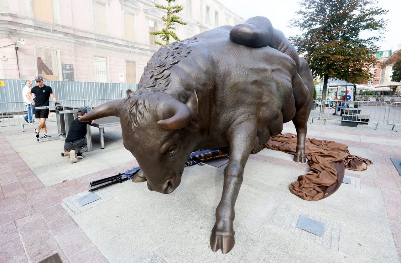 Katowice: Wielki byk stanął w centrum. 1600 kg na 160. urodziny miasta. W czwartek oficjalne odsłonięcie wyjątkowej rzeźby