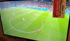 Dziennikarze kpią z akcji zasłaniania logo TVP przy transmisjach z piłkarskich mistrzostw świata