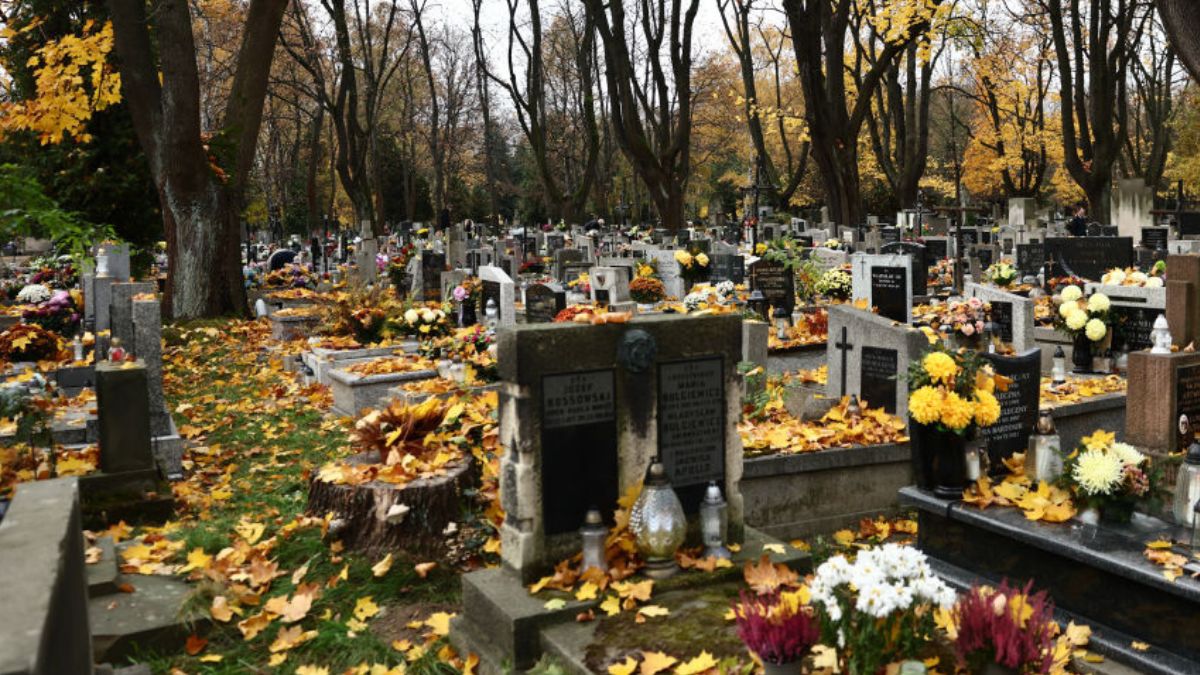 Odkrycie na cmentarzu w Przechówku. Groby mennonitów