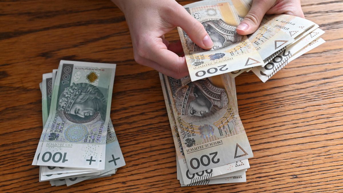 pieni�dze PLN
Szczecin, 09.09.2021. Banknoty, bilety Narodowego Banku Polskiego w nomina�ach 100 i 200 z�otowych trzymane w d�oniach, 9 bm. (ran) PAP/Marcin Bielecki
Marcin Bielecki
100 z�otych, 200 z�, 200 z�otych, banknoty, got�wka, kasa, pieni�dze, dlo�, d�onie, banknot�w, liczenie pieniedzy, z�ot�wki