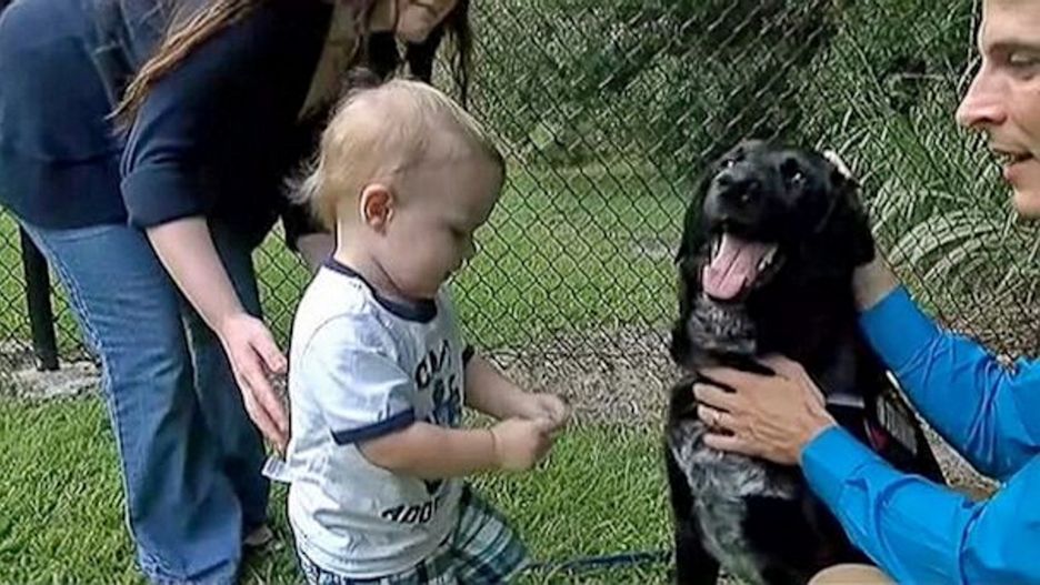 Myśleli, że znaleźli idealną nianię. Nie rozumieli tylko dziwnego zachowania psa