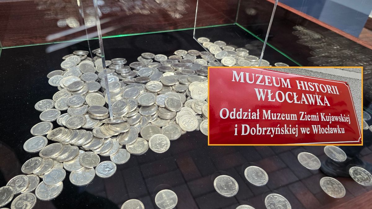 532 srebrne monety pod podłogą kamienicy