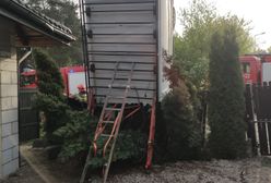 Zadziwiający widok w ogrodzie. Po chwili zrozumieli, co się stało