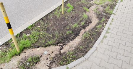 Katowice. Miasto szuka sprawcy dewastacji, oferuje nagrodę