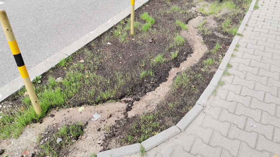 Katowice. Słupki i trawnik na ulicy Misjonarzy Oblatów nie przetrwały zbyt długo.