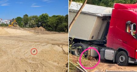Lisia rodzina nie ma zamiaru opuścić terenu budowy nowego osiedla w Lublinie. Młode lisy biegają pomiędzy maszynami