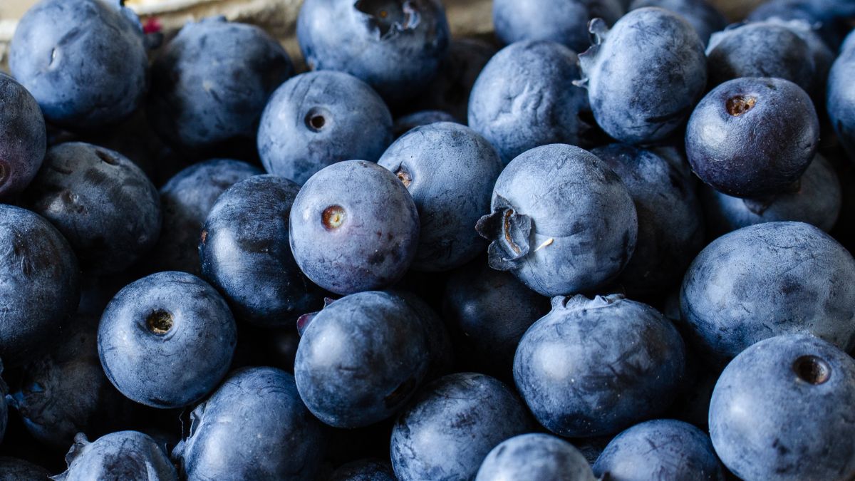 Borówki są zdrowe, ale nie dla każdego