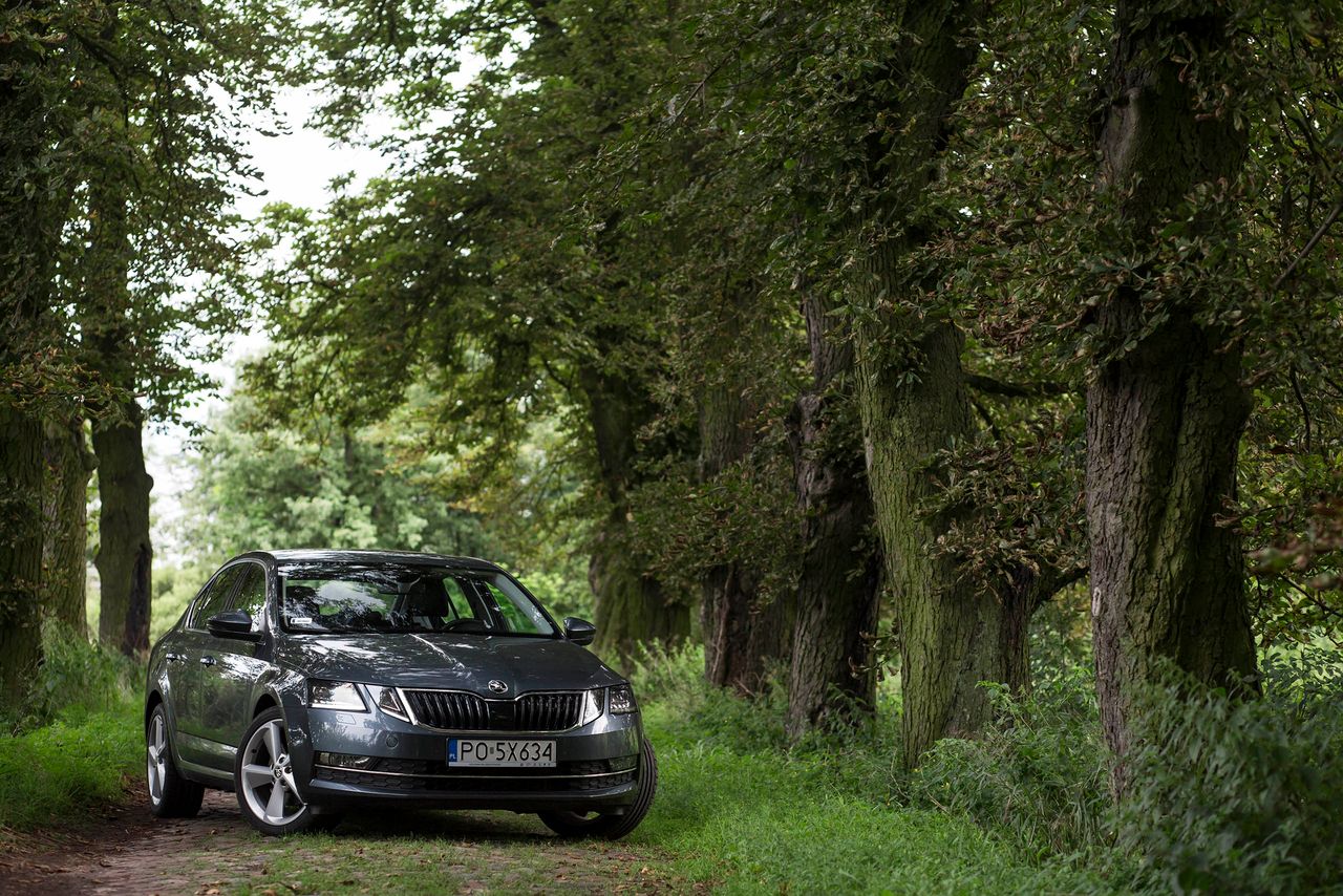 Škoda Octavia (FL) 1.4 TSI 150 KM DSG Style – test [wideo]