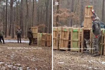 10 skrzyni w środku lasu. Leśnicy nagrani. To element planu