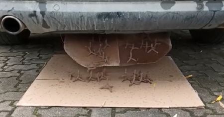 Audi miało kolce do przebijania opon. Byli przygotowani na najgorsze