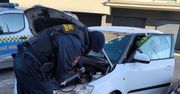 Świecie: Służby kontrolują pustostany i budy dla psów