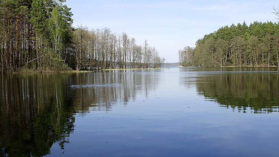 Jezioro Pluszne Wielkie – twoje miejsce na wakacje 