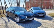 Skoda Octavia (2022) - ceny, silniki, dane techniczne