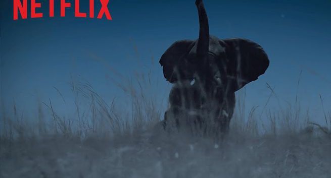 Krystyna Czubówna w dokumencie "Ziemia nocą" (wideo)