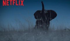 Krystyna Czubówna w dokumencie "Ziemia nocą" (wideo)