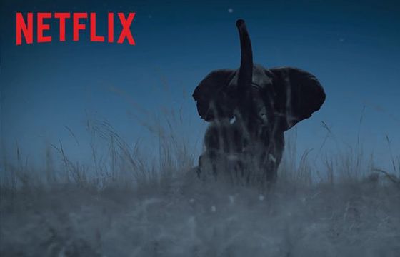 Krystyna Czubówna w dokumencie "Ziemia nocą" (wideo)