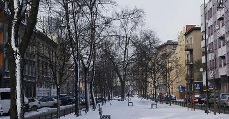 Zagrali PiS-owi na nosie. Ludzie tarzają się ze śmiechu