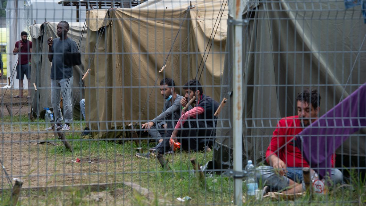 ob�zValdemar Doveikogranica, imigranci, migracja, migracje, migranci, nielegalni, BINARY<(18) bytes>, BINARY<(8) bytes>, litwie