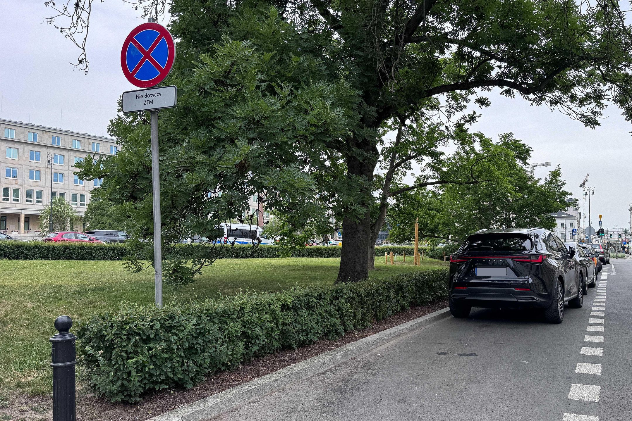 Joanna Racewicz wraca do zaparkowanego na zakazie samochodu