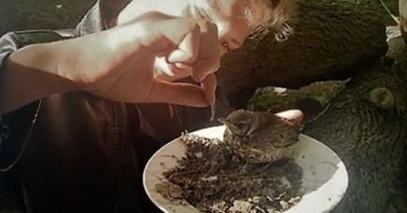 Pomorskie. Zwierzęta z azylu bestialsko zamordowane