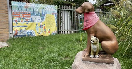 Wraca sprawa schroniska Na Paluchu. Ratusz odpowiada wolontariuszom