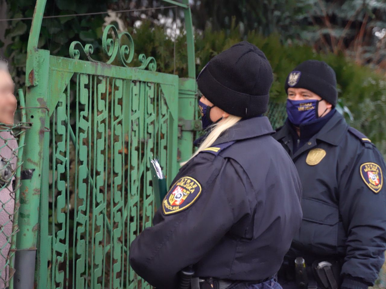 Wrocław. Praca dla miłośników zwierząt. Straż Miejska rekrutuje do konnych patroli