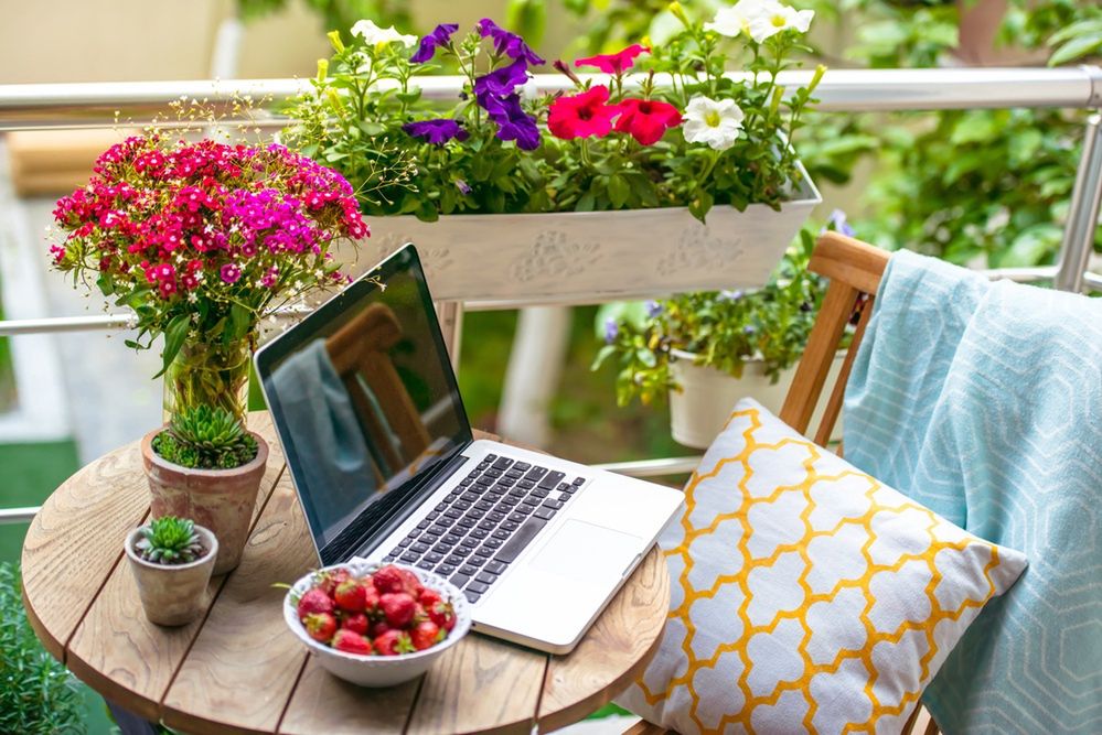 Kwiaty na balkon i taras: wybierz petunie, pelargonie, surfinie i wiele innych