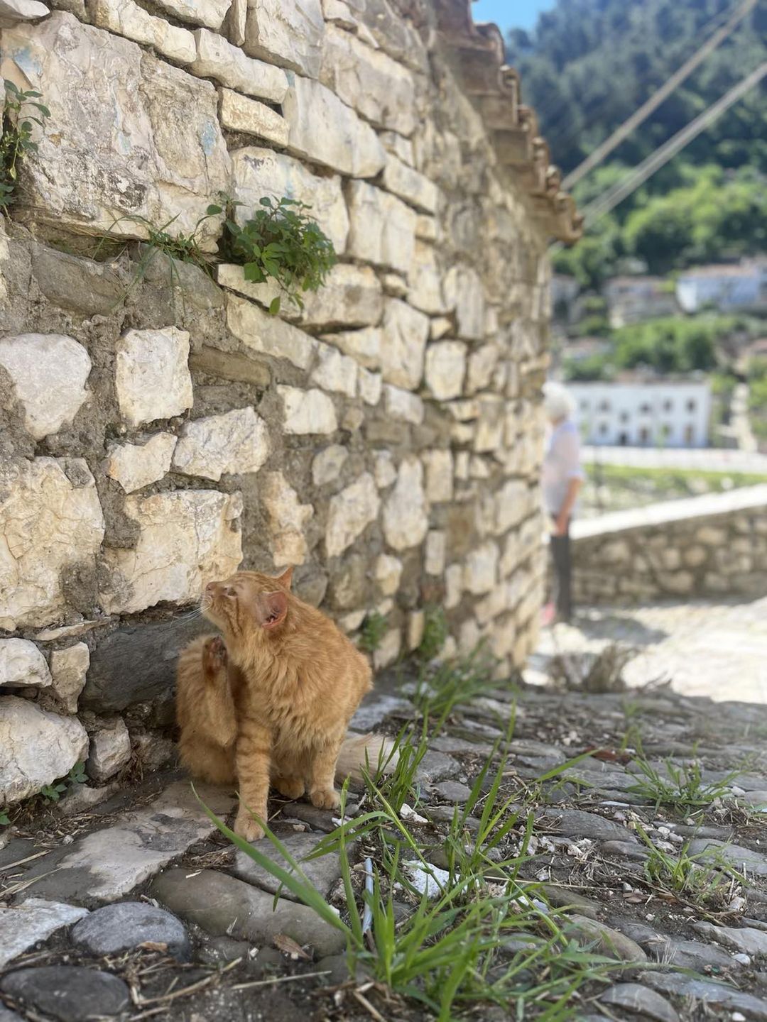 Berat zachwyci nie tylko fanów historii