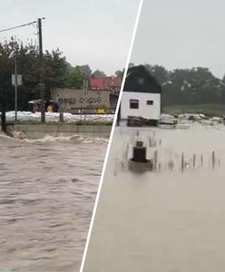 "Ponad 320 zgłoszeń". Posiłki z Wrocławia w drodze