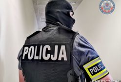 9-latka uciekła porywaczowi. Są nowe szczegóły