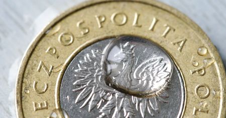 PIE: osłabienie złotego w niewielkim stopniu pomaga gospodarce