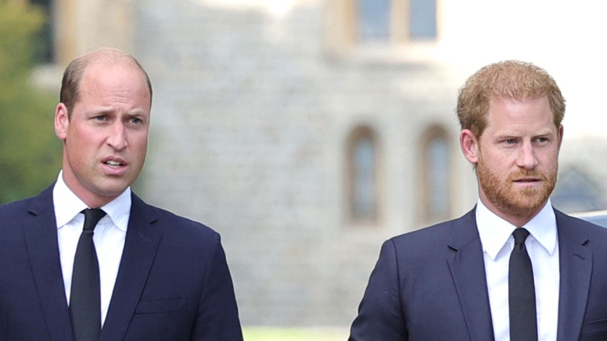 Książęta: William i Harry