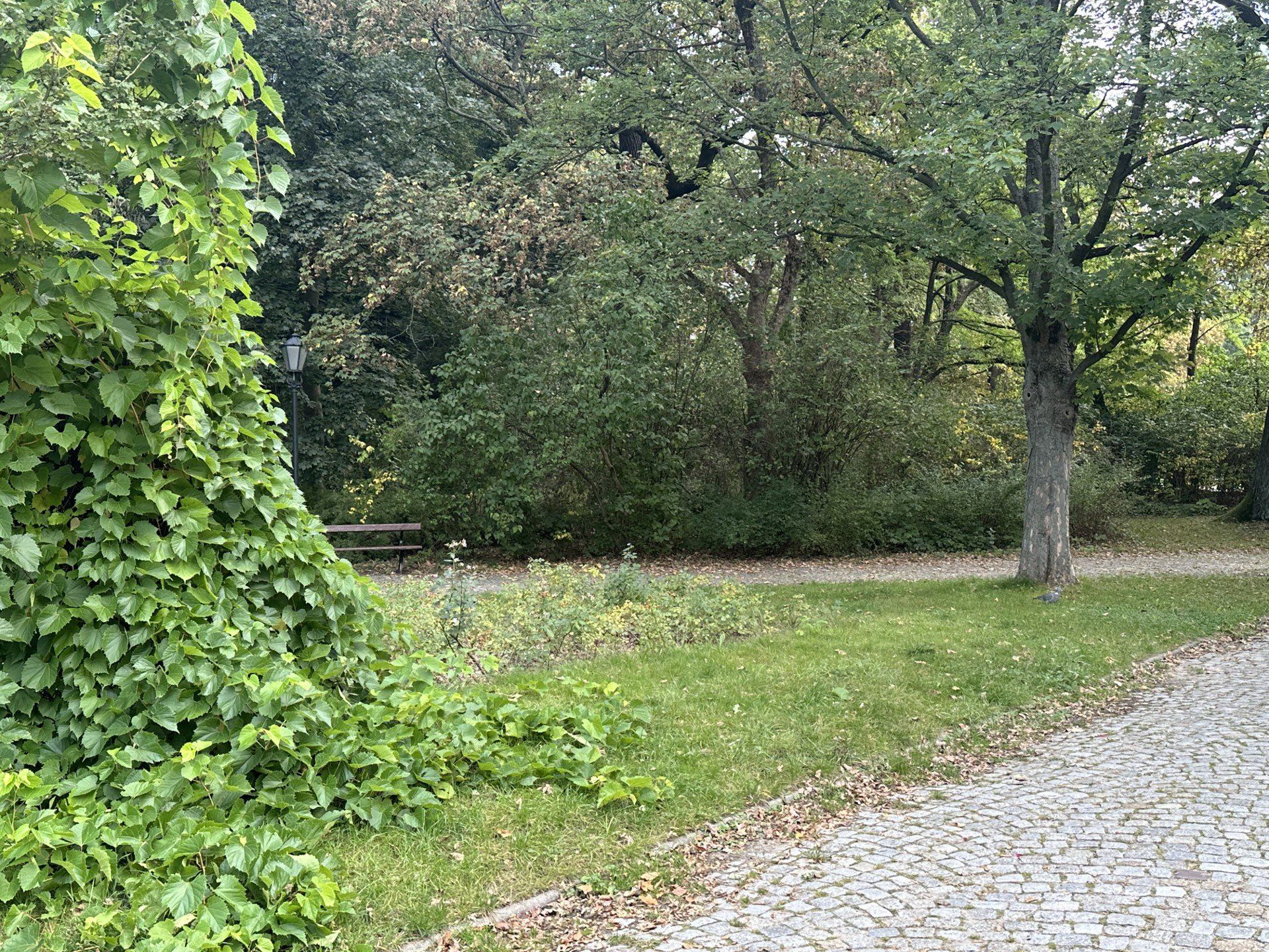 Park Źródliska Łódź