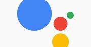Asystent Google po polsku: wydarzenie premierowe odwołane