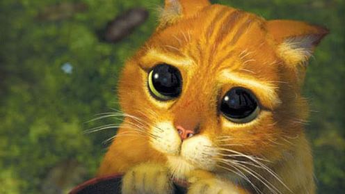 Czy potrafisz odejść z Facebooka? 1