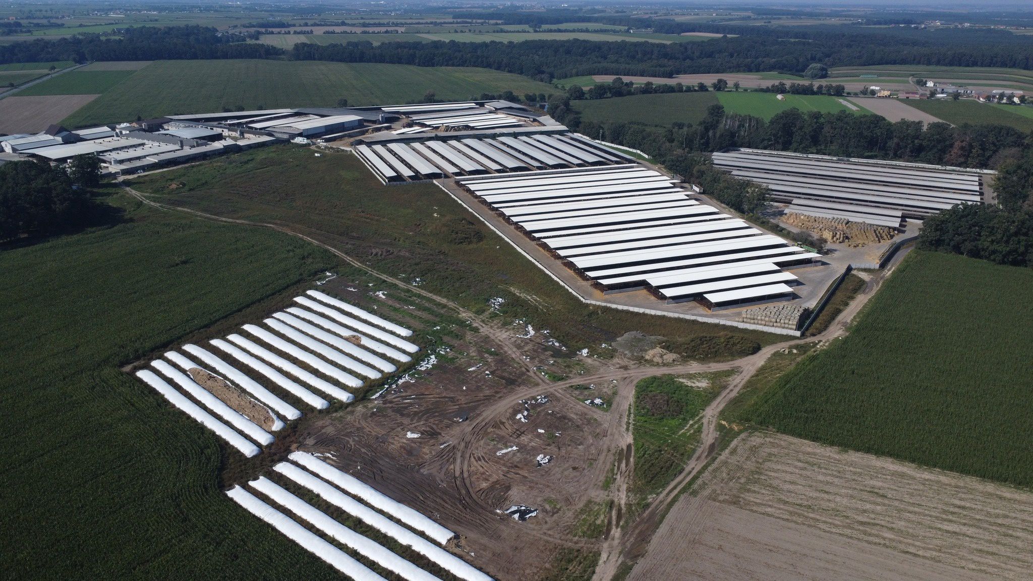 Ferma w Dąbrówce we wrześniu 2022 i we wrześniu 2023