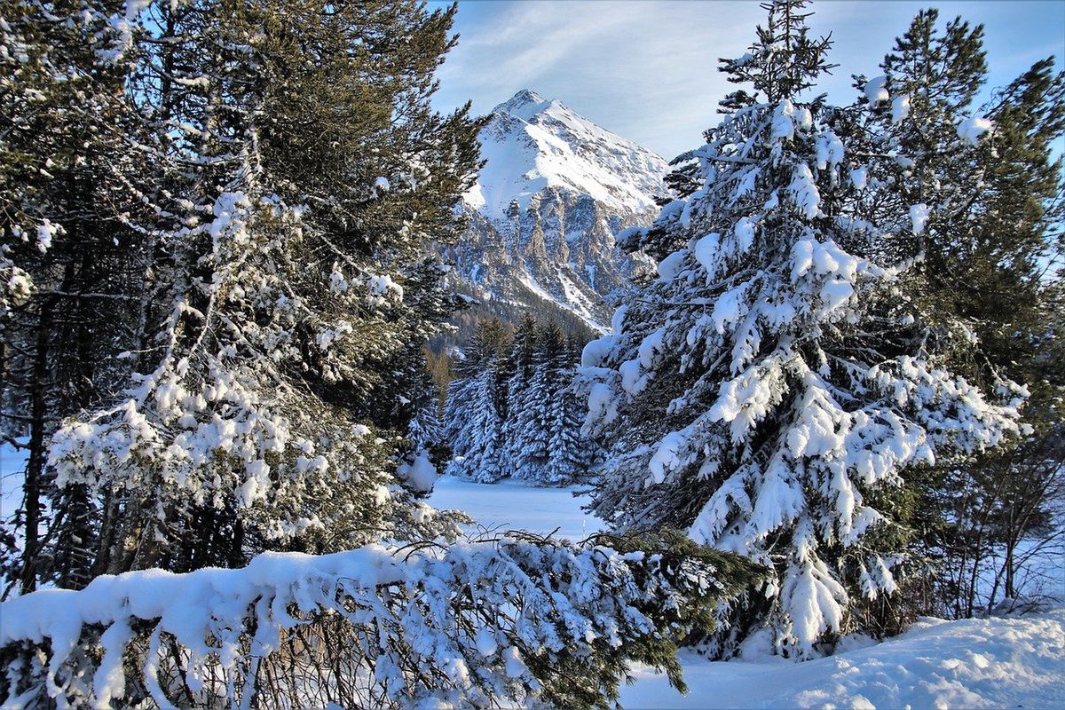 Zimowy krajobraz. Zdjęcie ilustracyjne