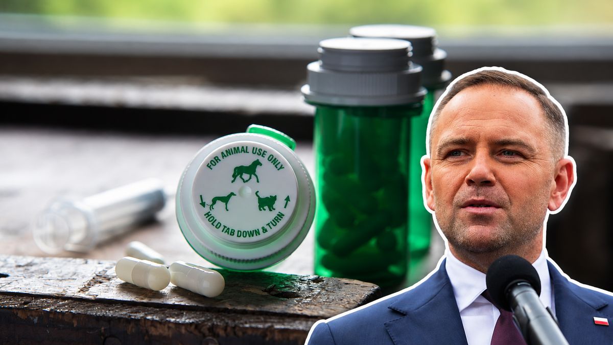 Lex Szarlatan czeka na decyzję prezydenta