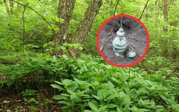 "Niezwykły przedmiot". Jak on się tam znalazł? Odkrycie w lesie