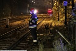Śmiertelny wypadek. Samochód wjechał pod szynobus