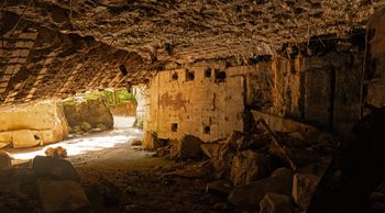 Sekret szkieletów z domu Göringa. Archeolodzy wrócili na miejsce