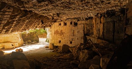 Sekret szkieletów z domu Göringa. Archeolodzy wrócili na miejsce